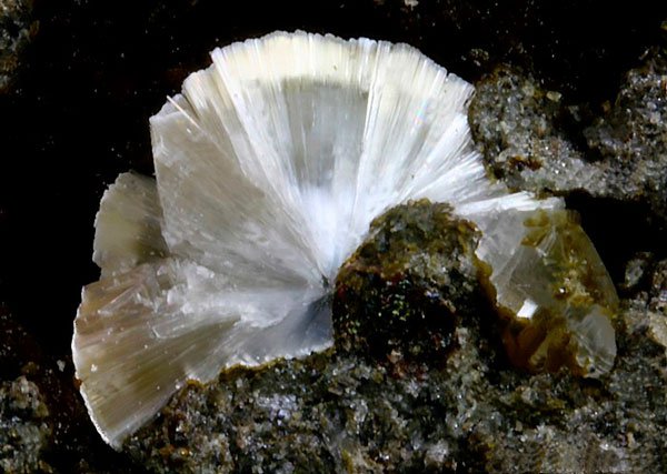 Erionita