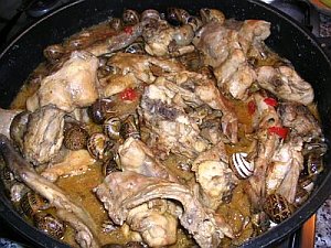 Tombet de conill 